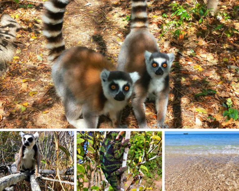 13 days Group Tour Madagascar