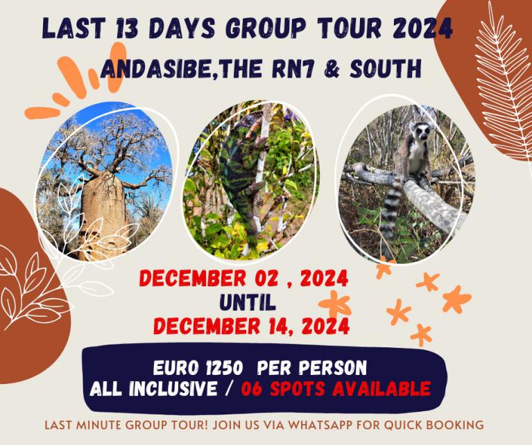 Budget Tour Madagascar