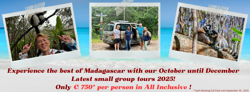 Madagascar group tours 2026