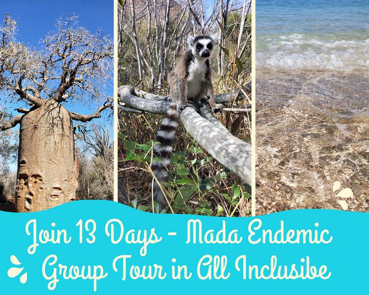 13 days Classic Group Tour - Madagascar Travel 2023